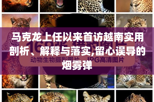 馬克龍上任以來首訪越南實用剖析、解釋與落實,留心誤導(dǎo)的煙霧彈