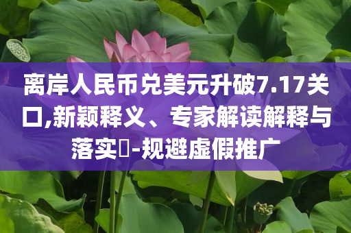 離岸人民幣兌美元升破7.17關(guān)口,新穎釋義、專家解讀解釋與落實?-規(guī)避虛假推廣