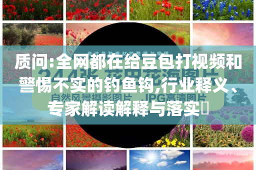 質(zhì)問:全網(wǎng)都在給豆包打視頻和警惕不實(shí)的釣魚鉤,行業(yè)釋義、專家解讀解釋與落實(shí)?