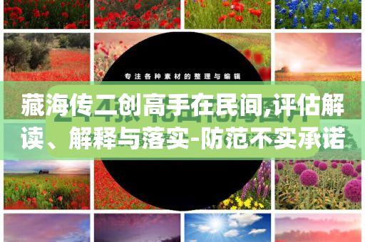 藏海傳二創(chuàng)高手在民間,評估解讀、解釋與落實-防范不實承諾