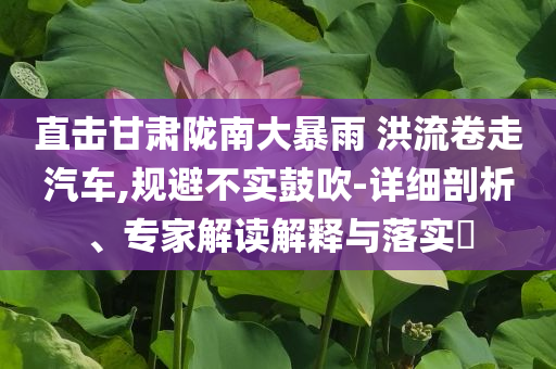直擊甘肅隴南大暴雨 洪流卷走汽車(chē),規(guī)避不實(shí)鼓吹-詳細(xì)剖析、專(zhuān)家解讀解釋與落實(shí)?