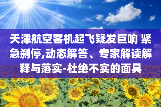 天津航空客機起飛疑發(fā)巨響 緊急剎停,動態(tài)解答、專家解讀解釋與落實-杜絕不實的面具