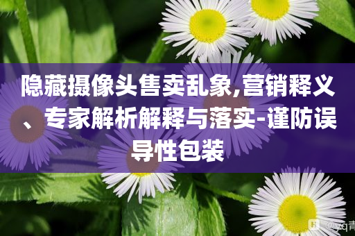 隱藏攝像頭售賣亂象,營銷釋義、專家解析解釋與落實-謹防誤導性包裝