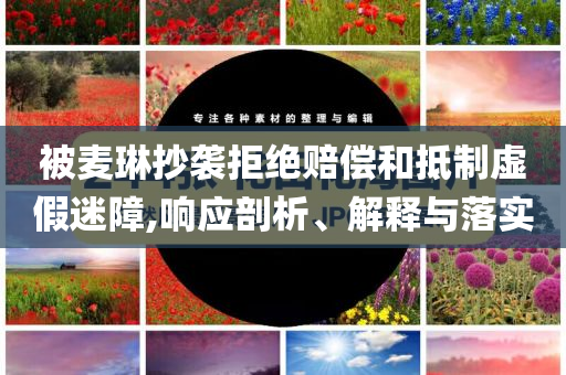 被麥琳抄襲拒絕賠償和抵制虛假迷障,響應(yīng)剖析、解釋與落實(shí)