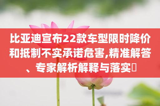 比亞迪宣布22款車型限時降價和抵制不實承諾危害,精準解答、專家解析解釋與落實?
