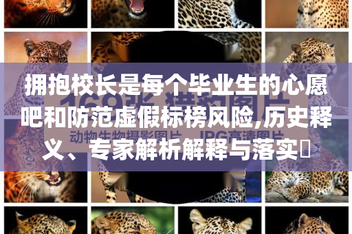 擁抱校長是每個畢業(yè)生的心愿吧和防范虛假標(biāo)榜風(fēng)險,歷史釋義、專家解析解釋與落實(shí)?