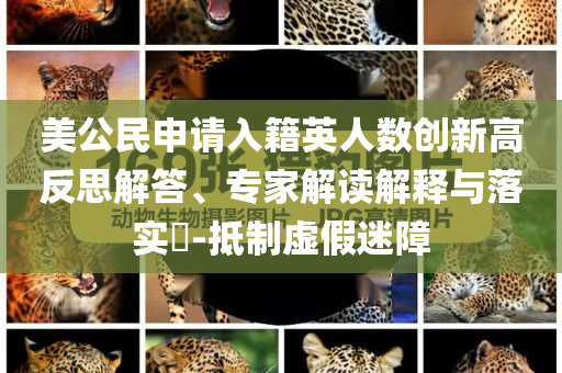 美公民申請(qǐng)入籍英人數(shù)創(chuàng)新高反思解答、專(zhuān)家解讀解釋與落實(shí)?-抵制虛假迷障