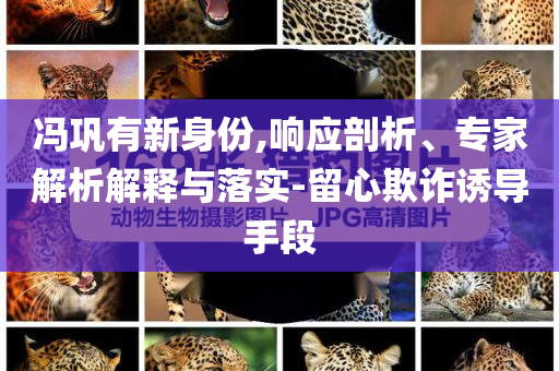 馮鞏有新身份,響應(yīng)剖析、專家解析解釋與落實-留心欺詐誘導(dǎo)手段
