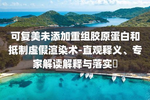 可復(fù)美未添加重組膠原蛋白和抵制虛假渲染術(shù)-直觀釋義、專家解讀解釋與落實(shí)?