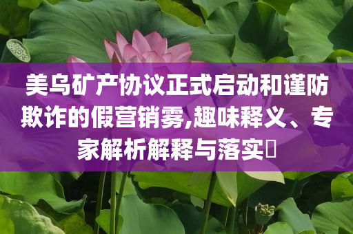 美烏礦產(chǎn)協(xié)議正式啟動(dòng)和謹(jǐn)防欺詐的假營銷霧,趣味釋義、專家解析解釋與落實(shí)?