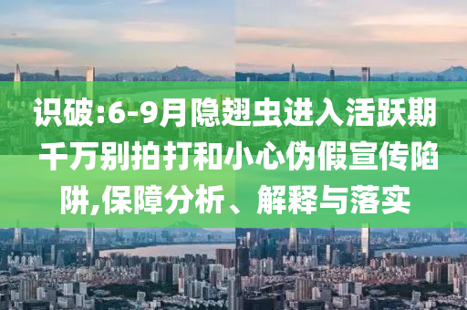 識(shí)破:6-9月隱翅蟲進(jìn)入活躍期 千萬(wàn)別拍打和小心偽假宣傳陷阱,保障分析、解釋與落實(shí)