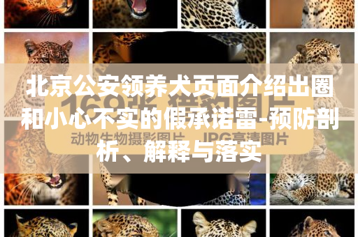 北京公安領養(yǎng)犬頁面介紹出圈和小心不實的假承諾雷-預防剖析、解釋與落實