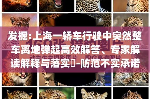 發(fā)掘:上海一轎車行駛中突然整車離地彈起高效解答、專家解讀解釋與落實(shí)?-防范不實(shí)承諾