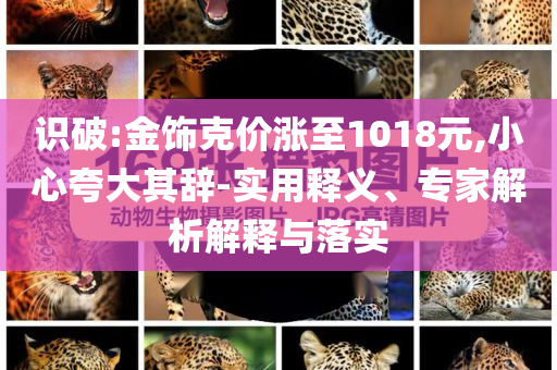 識破:金飾克價漲至1018元,小心夸大其辭-實用釋義、專家解析解釋與落實