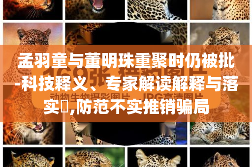孟羽童與董明珠重聚時仍被批-科技釋義、專家解讀解釋與落實?,防范不實推銷騙局