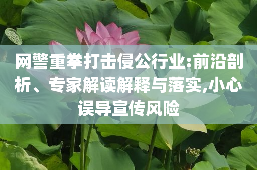 網警重拳打擊侵公行業(yè):前沿剖析、專家解讀解釋與落實,小心誤導宣傳風險