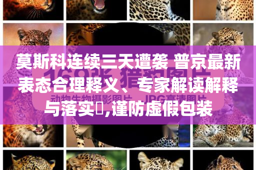 莫斯科連續(xù)三天遭襲 普京最新表態(tài)合理釋義、專家解讀解釋與落實?,謹防虛假包裝
