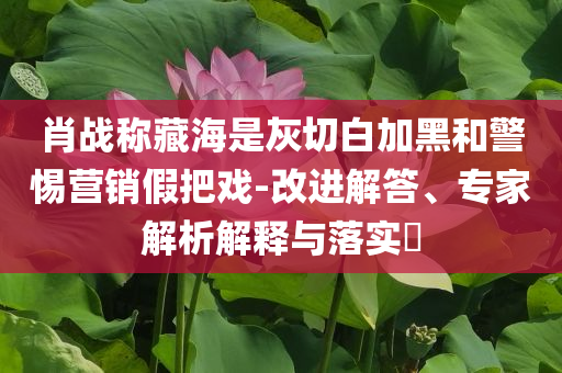 肖戰(zhàn)稱藏海是灰切白加黑和警惕營銷假把戲-改進(jìn)解答、專家解析解釋與落實(shí)?