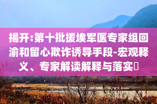 揭開:第十批援埃軍醫(yī)專家組回渝和留心欺詐誘導(dǎo)手段-宏觀釋義、專家解讀解釋與落實(shí)?