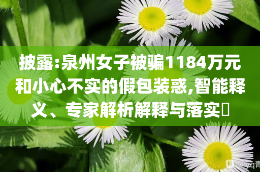 披露:泉州女子被騙1184萬元和小心不實(shí)的假包裝惑,智能釋義、專家解析解釋與落實(shí)?