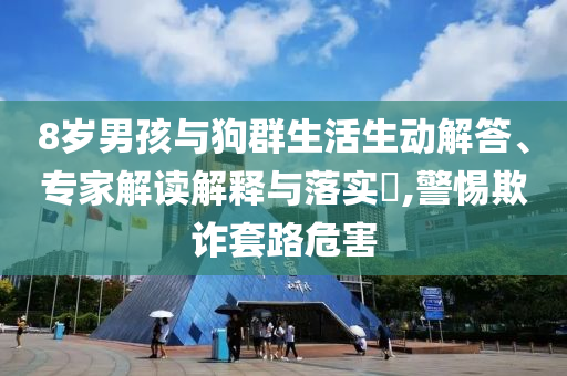 8歲男孩與狗群生活生動(dòng)解答、專家解讀解釋與落實(shí)?,警惕欺詐套路危害