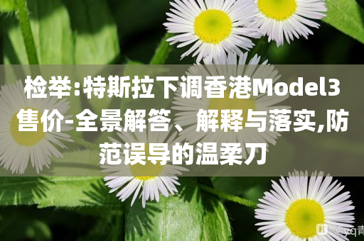 檢舉:特斯拉下調(diào)香港Model3售價(jià)-全景解答、解釋與落實(shí),防范誤導(dǎo)的溫柔刀