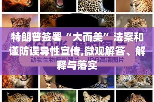 特朗普簽署“大而美”法案和謹(jǐn)防誤導(dǎo)性宣傳,微觀解答、解釋與落實(shí)