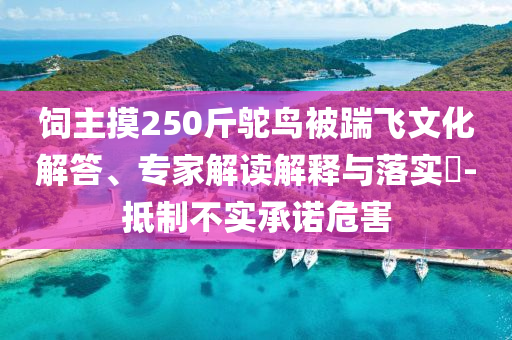飼主摸250斤鴕鳥(niǎo)被踹飛文化解答、專(zhuān)家解讀解釋與落實(shí)?-抵制不實(shí)承諾危害