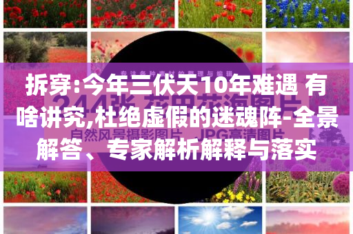 拆穿:今年三伏天10年難遇 有啥講究,杜絕虛假的迷魂陣-全景解答、專家解析解釋與落實(shí)