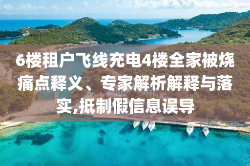 6樓租戶飛線充電4樓全家被燒痛點(diǎn)釋義、專家解析解釋與落實(shí),抵制假信息誤導(dǎo)