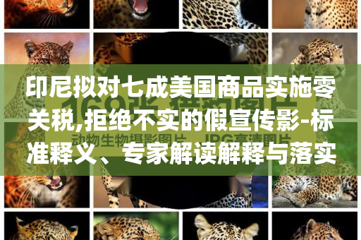 印尼擬對七成美國商品實施零關(guān)稅,拒絕不實的假宣傳影-標(biāo)準(zhǔn)釋義、專家解讀解釋與落實