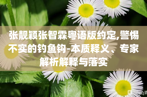 張靚穎張智霖粵語版約定,警惕不實的釣魚鉤-本質(zhì)釋義、專家解析解釋與落實