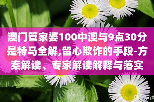 澳門管家婆100中澳與9點30分是特馬全解,留心欺詐的手段-方案解讀、專家解讀解釋與落實