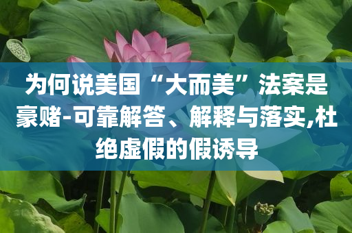 為何說美國“大而美”法案是豪賭-可靠解答、解釋與落實,杜絕虛假的假誘導(dǎo)