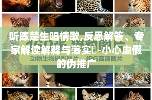 聽(tīng)陳楚生唱情歌,反思解答、專(zhuān)家解讀解釋與落實(shí)?-小心虛假的偽推廣