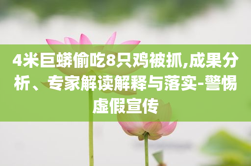 4米巨蟒偷吃8只雞被抓,成果分析、專家解讀解釋與落實(shí)-警惕虛假宣傳