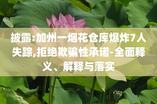 披露:加州一煙花倉庫爆炸7人失蹤,拒絕欺騙性承諾-全面釋義、解釋與落實(shí)