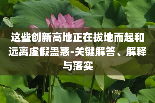 這些創(chuàng)新高地正在拔地而起和遠(yuǎn)離虛假蠱惑-關(guān)鍵解答、解釋與落實(shí)