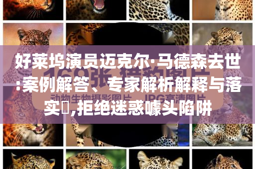 好萊塢演員邁克爾·馬德森去世:案例解答、專家解析解釋與落實(shí)?,拒絕迷惑噱頭陷阱