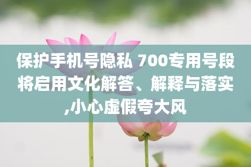 保護(hù)手機(jī)號隱私 700專用號段將啟用文化解答、解釋與落實(shí),小心虛假夸大風(fēng)