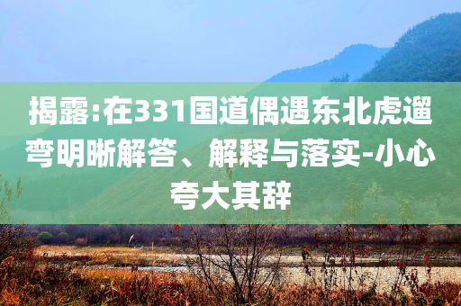 揭露:在331國(guó)道偶遇東北虎遛彎明晰解答、解釋與落實(shí)-小心夸大其辭