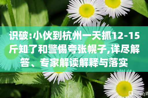 識(shí)破:小伙到杭州一天抓12-15斤知了和警惕夸張幌子,詳盡解答、專家解讀解釋與落實(shí)