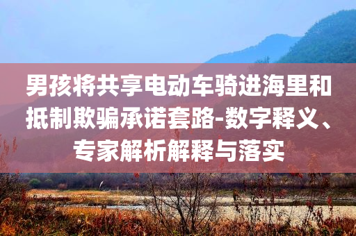 男孩將共享電動(dòng)車騎進(jìn)海里和抵制欺騙承諾套路-數(shù)字釋義、專家解析解釋與落實(shí)