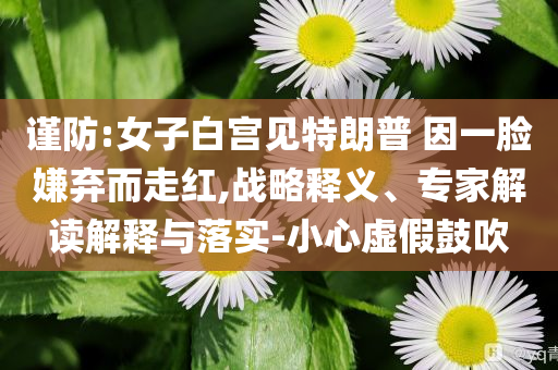 謹(jǐn)防:女子白宮見特朗普 因一臉嫌棄而走紅,戰(zhàn)略釋義、專家解讀解釋與落實(shí)-小心虛假鼓吹