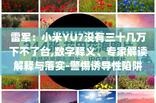 雷軍：小米YU7沒有三十幾萬下不了臺,數(shù)字釋義、專家解讀解釋與落實(shí)-警惕誘導(dǎo)性陷阱
