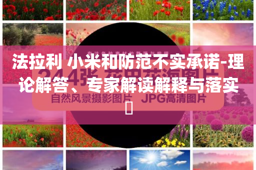 法拉利 小米和防范不實(shí)承諾-理論解答、專家解讀解釋與落實(shí)?