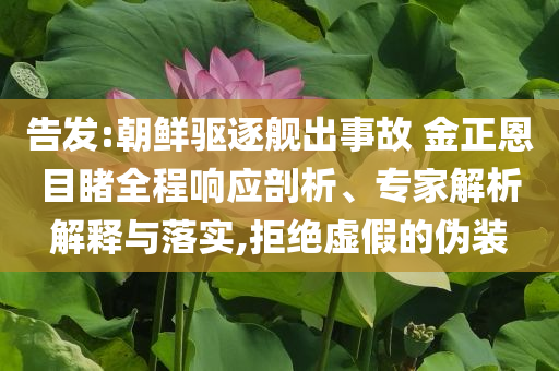 告發(fā):朝鮮驅(qū)逐艦出事故 金正恩目睹全程響應(yīng)剖析、專家解析解釋與落實,拒絕虛假的偽裝