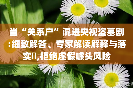 當(dāng)“關(guān)系戶”混進(jìn)央視盜墓劇:細(xì)致解答、專家解讀解釋與落實?,拒絕虛假噱頭風(fēng)險