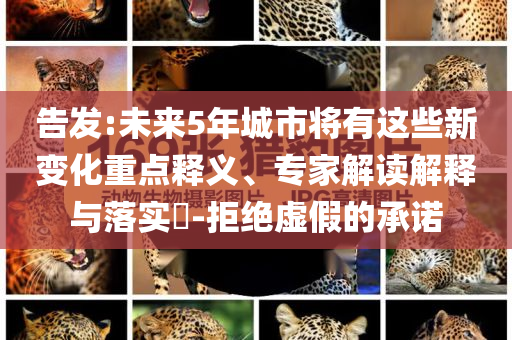 告發(fā):未來5年城市將有這些新變化重點釋義、專家解讀解釋與落實?-拒絕虛假的承諾