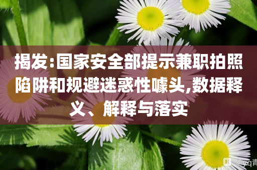 揭發(fā):國家安全部提示兼職拍照陷阱和規(guī)避迷惑性噱頭,數(shù)據(jù)釋義、解釋與落實
